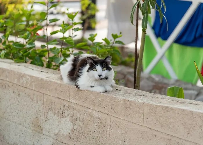 Hotel apartamentowy Haraki Sand Beach 4*