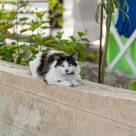 Ξενοδοχείο με διαμερίσματα Haraki Sand Beach 4*